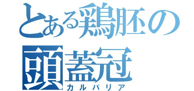 とある鶏胚の頭蓋冠（カルバリア）