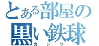 とある部屋の黒い鉄球（ガンツ）