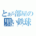 とある部屋の黒い鉄球（ガンツ）