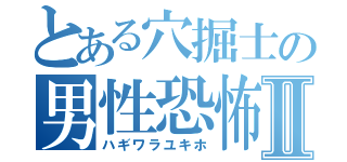 とある穴掘士の男性恐怖症Ⅱ（ハギワラユキホ）