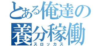 とある俺達の養分稼働（スロッカス）