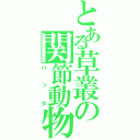 とある草叢の関節動物（バッタ）