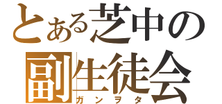 とある芝中の副生徒会長（ガンヲタ）