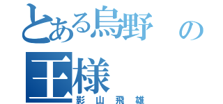 とある烏野 の王様（影山飛雄）