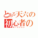 とある天六の初心者のＭ（オークション）