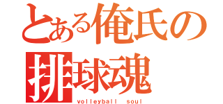 とある俺氏の排球魂（ｖｏｌｌｅｙｂａｌｌ  ｓｏｕｌ）