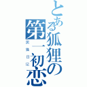 とある狐狸の第一初恋（黑猫日记）