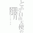 とある自由天使の銀月（インデックス）