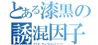 とある漆黒の誘混因子（アイネ・キュッヒェンシャーベ）