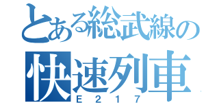 とある総武線の快速列車（Ｅ２１７）