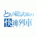 とある総武線の快速列車（Ｅ２１７）