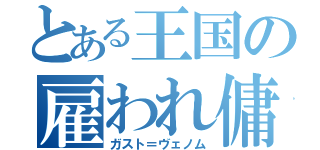 とある王国の雇われ傭兵（ガスト＝ヴェノム）