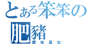 とある笨笨の肥豬（肥怡是也）