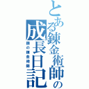 とある錬金術師の成長日記Ⅱ（鋼の錬金術師）