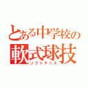 とある中学校の軟式球技（ソフトテニス）