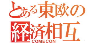 とある東欧の経済相互援助会議（ＣＯＭＥＣＯＮ ）