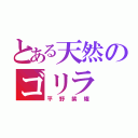 とある天然のゴリラ（平野紫耀）