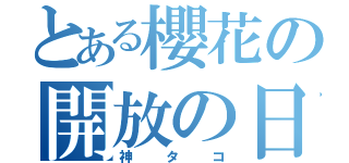 とある櫻花の開放の日（神タコ）