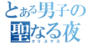 とある男子の聖なる夜（クリスマス）