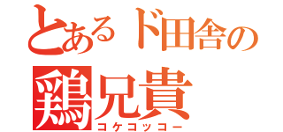 とあるド田舎の鶏兄貴（コケコッコー）