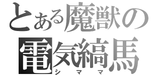 とある魔獣の電気縞馬（シママ）