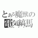 とある魔獣の電気縞馬（シママ）