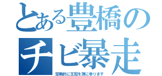 とある豊橋のチビ暴走（定期的に王冠を頂に参ります）