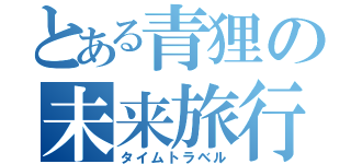 とある青狸の未来旅行（タイムトラベル）