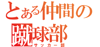 とある仲間の蹴球部（サッカー部）