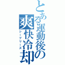 とある運動後の爽快冷却（シーブリーズ）