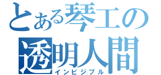 とある琴工の透明人間（インビジブル）