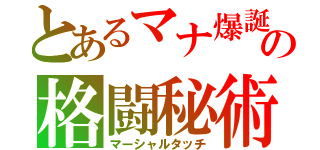 とあるマナ爆誕の格闘秘術（マーシャルタッチ）