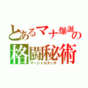 とあるマナ爆誕の格闘秘術（マーシャルタッチ）