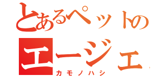 とあるペットのエージェント（カモノハシ）