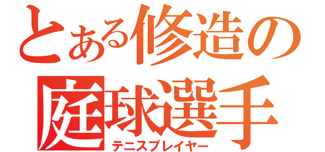 とある修造の庭球選手（テニスプレイヤー）