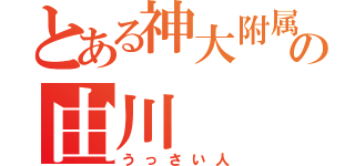 とある神大附属の由川（うっさい人）