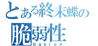 とある終末蝶の脆弱性（ｂａｓｉｃ＋）