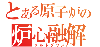 とある原子炉の炉心融解（メルトダウン）