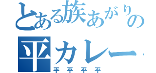 とある族あがりのの平カレー（平平平平）