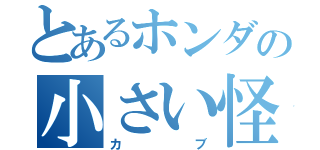 とあるホンダの小さい怪物（カブ）