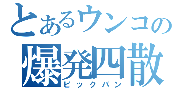 とあるウンコの爆発四散（ビックバン）