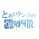 とあるウンコの爆発四散（ビックバン）