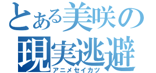 とある美咲の現実逃避（アニメセイカツ）