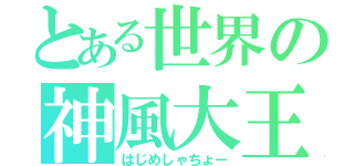 とある世界の神風大王（はじめしゃちょー）