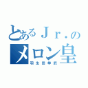 とあるＪｒ．のメロン皇子（羽生田挙武）