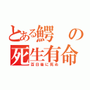 とある鰐の死生有命（百日後に死ぬ）