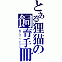 とある狸猫の飼育手冊（愛のメガパーティクルカノン）