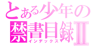 とある少年の禁書目録Ⅱ（インデックス）