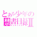 とある少年の禁書目録Ⅱ（インデックス）