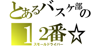 とあるバスケ部の１２番☆（スモールドライバー）